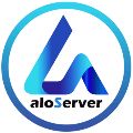 لوگوی الو سرور - خدمات و تجهیزات شبکه