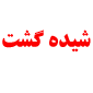 لوگوی شیده گشت تهران - آژانس هواپیمایی
