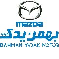 لوگوی فروشگاه بهمن یدک - فروش لوازم یدکی بدنه خودرو