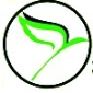 لوگوی آژانس هواپیمایی دروازه سفر سبز