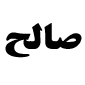 لوگوی صالح - صنایع چوب و فلز