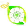 لوگوی طراحی اپلیکیشن لیمو - طراحی وب سایت