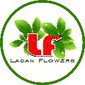 گل فروشی لادن فلاورز